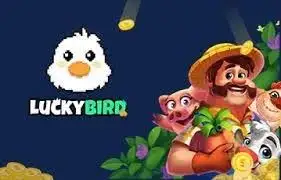 bài tập bổ trợ tiếng anh 3 discovery